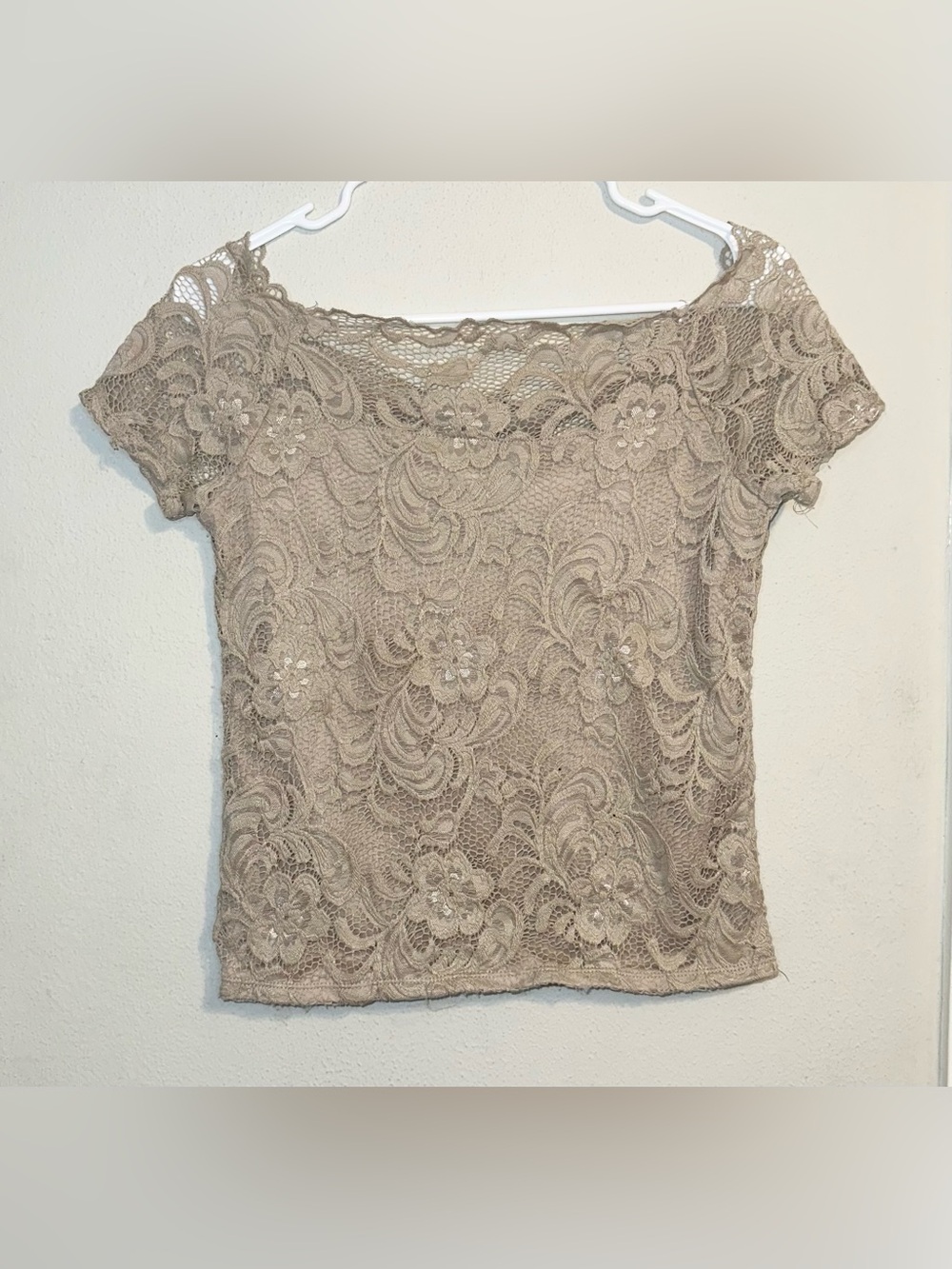 Ambiance Beige Lace Overlay Short Sleeve Top